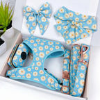 Designed Blue Daisy Floral Dog Vest Set
