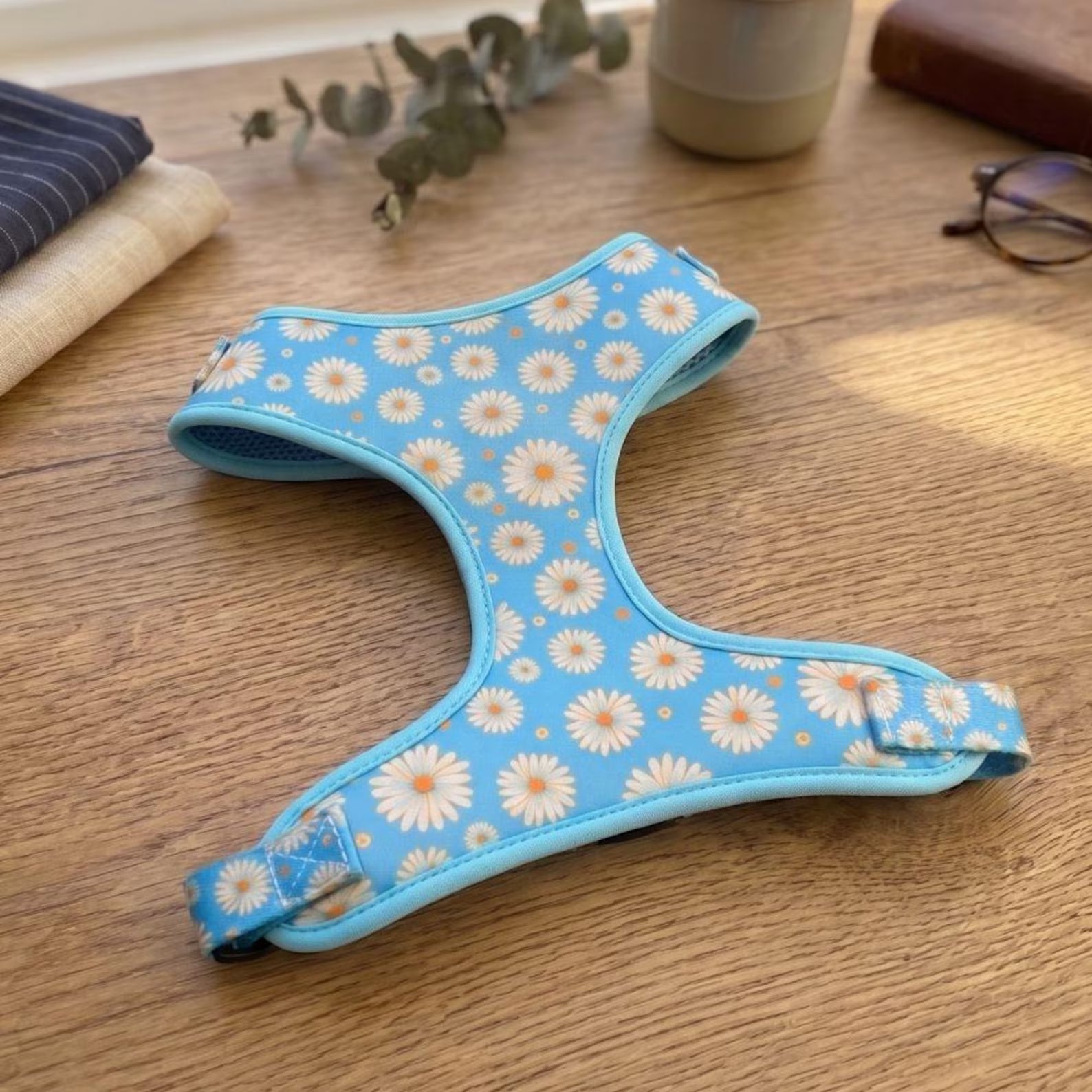 D&D Paws Designed Blue Daisy Dog Vest Set