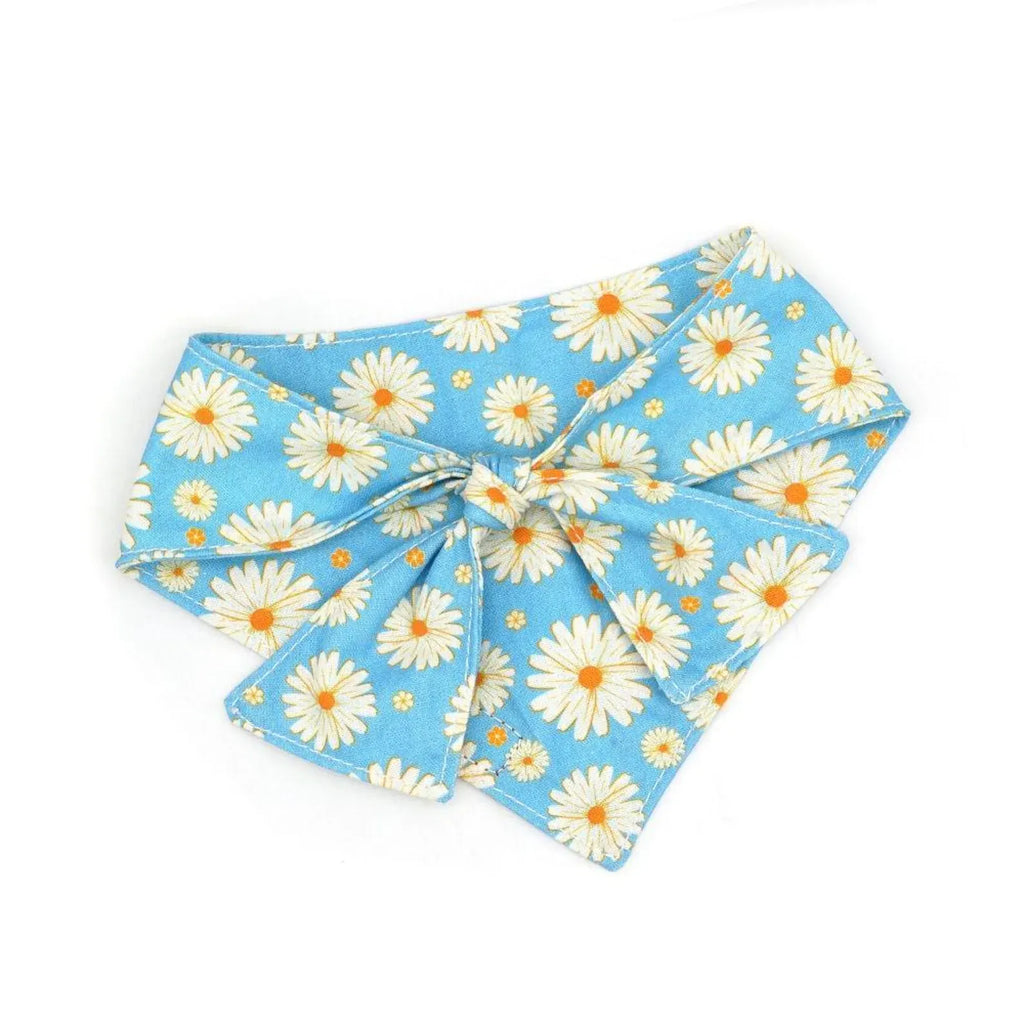 D&D Paws Bandana Designed Blue Daisy Dog Vest Set