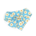 D&D Paws Bandana Designed Blue Daisy Dog Vest Set