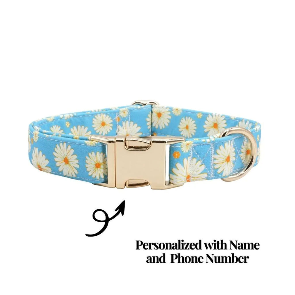 D&D Paws Collar Designed Blue Daisy Dog Vest Set