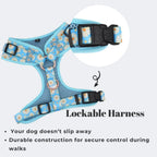 D&D Paws Designed Blue Daisy Dog Vest Set