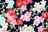 Black Bloom Soft Floral Set
