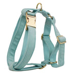 Lake Green Corduroy Set