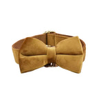 D&D Paws  Bowtie Collar / XS Light Coffee Velvet Set