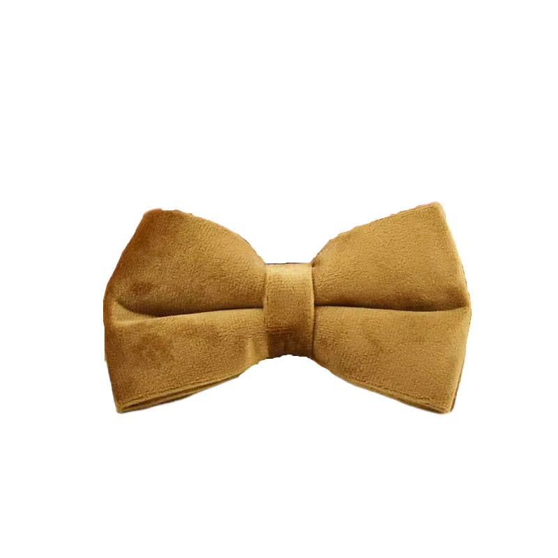D&D Paws  Bowtie / XS Light Coffee Velvet Set