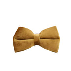 D&D Paws  Bowtie / XS Light Coffee Velvet Set