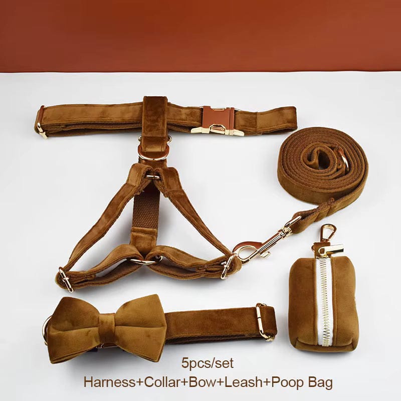 D&D Paws  Collar + Harness + Leash + Bowtie + Poop Bag / XS Light Coffee Velvet Set