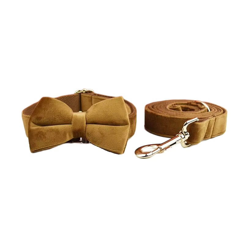 D&D Paws  Collar + Leash + Bowtie / XS Light Coffee Velvet Set