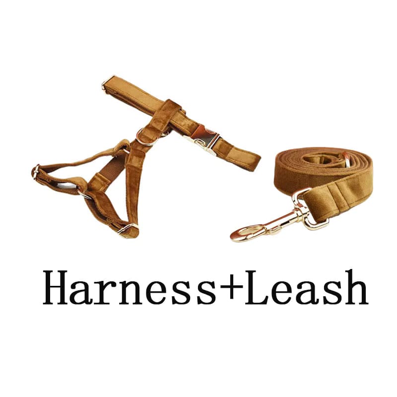 D&D Paws  Harness + Leash / XS Light Coffee Velvet Set