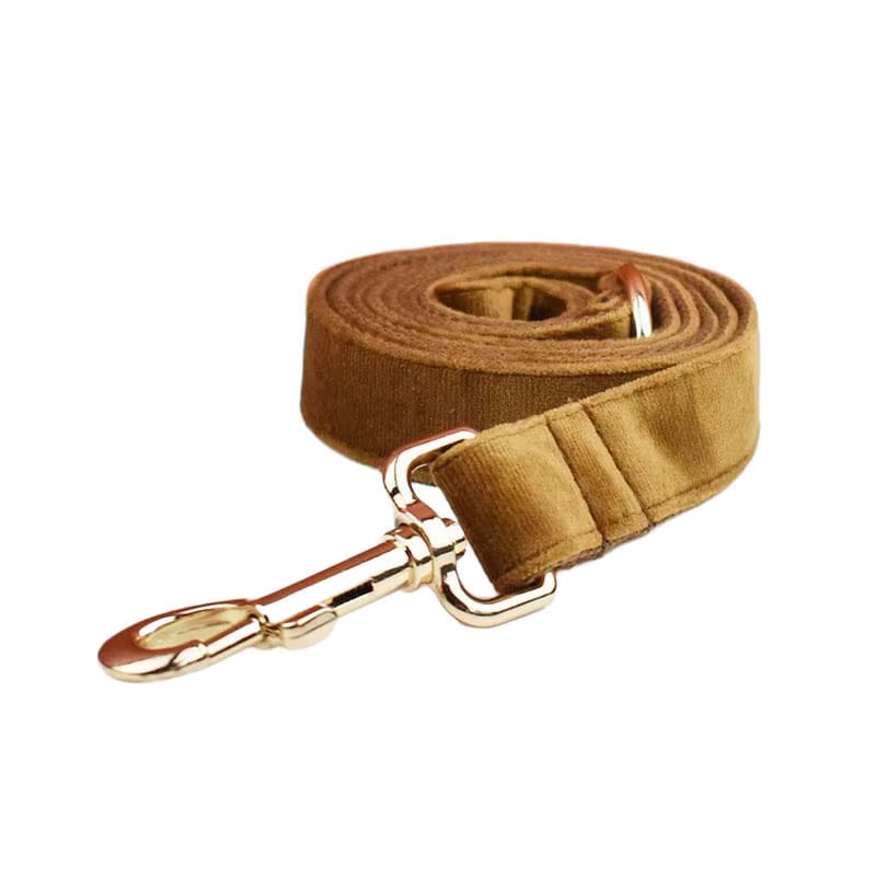 D&D Paws  Leash / XS Light Coffee Velvet Set