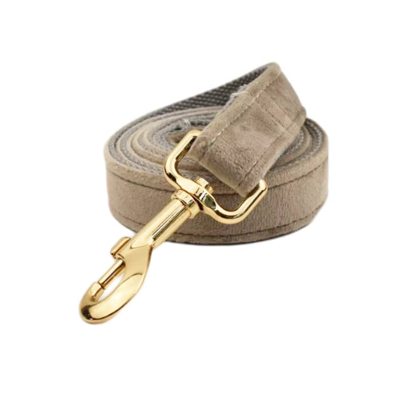 Light Grey Velvet Set