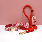 DDPaws  Red / XS Personalized Plaid Dog Walking Set