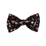 Bowtie