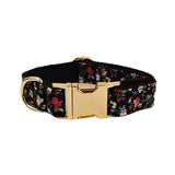Collar