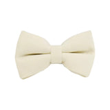 Bowtie
