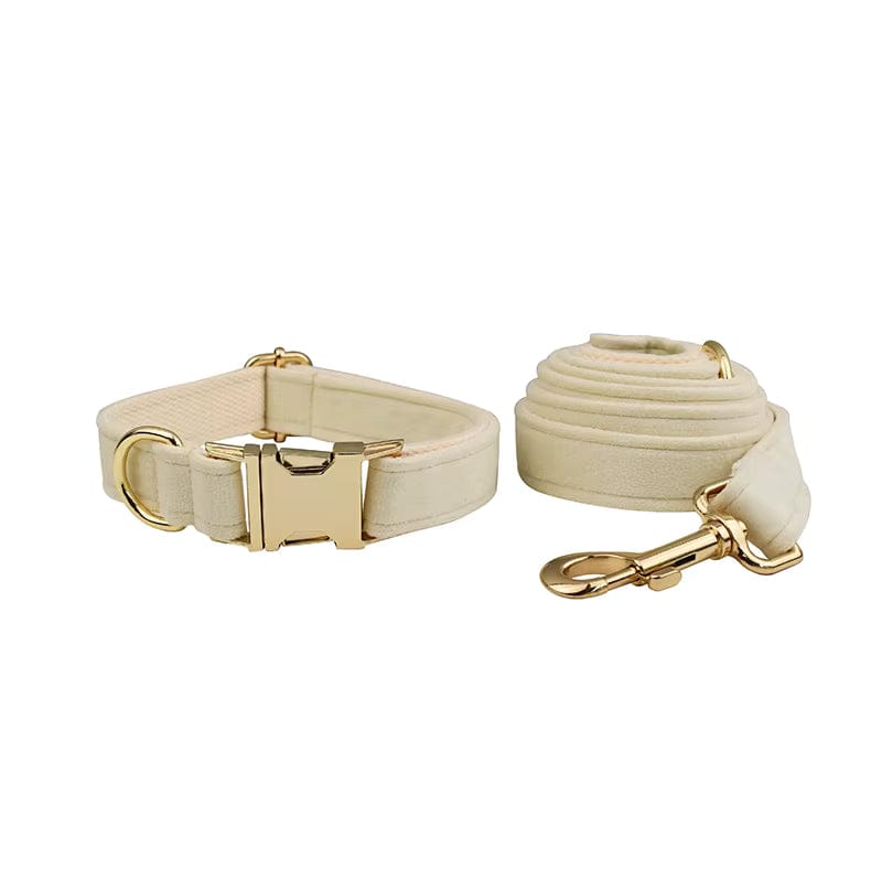 Milky White Velvet Set