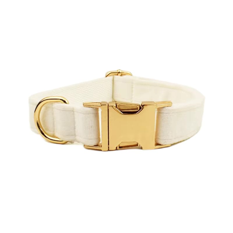 Milky White Velvet Set