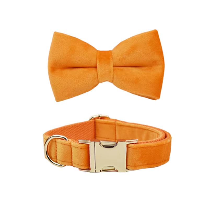 D&D Paws  Bowtie Collar / XS Orange Velvet Set