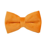 D&D Paws  Bowtie / XS Orange Velvet Set