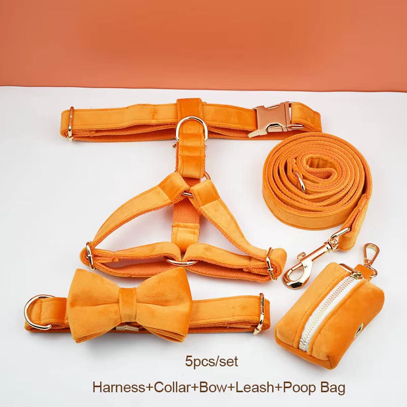 D&D Paws  Collar + Harness + Leash + Bowtie + Poop Bag / XS Orange Velvet Set