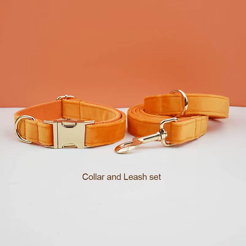 D&D Paws  Collar + Leash / XS Orange Velvet Set