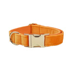 D&D Paws  Collar / XS Orange Velvet Set