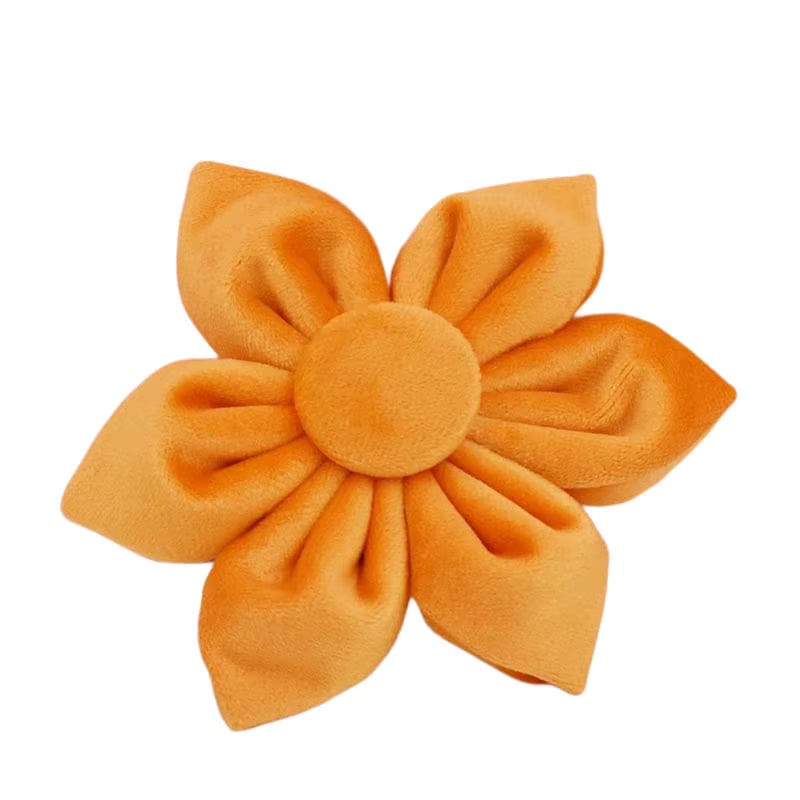 D&D Paws  Flower / XS Orange Velvet Set