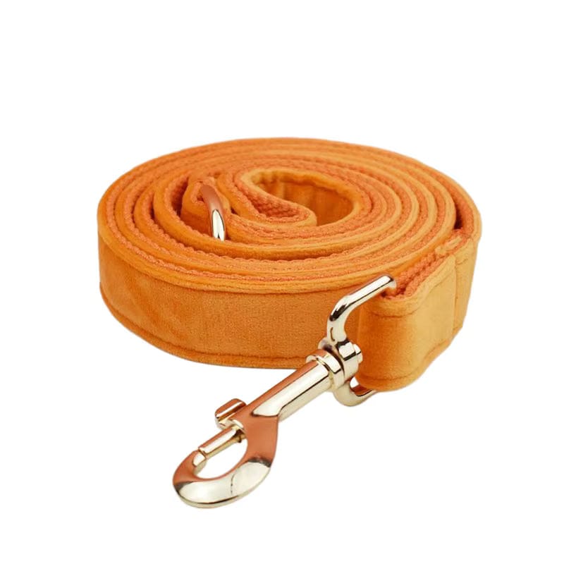 D&D Paws  Leash / XS Orange Velvet Set