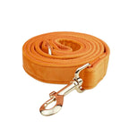 D&D Paws  Leash / XS Orange Velvet Set