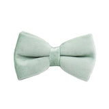 Bowtie