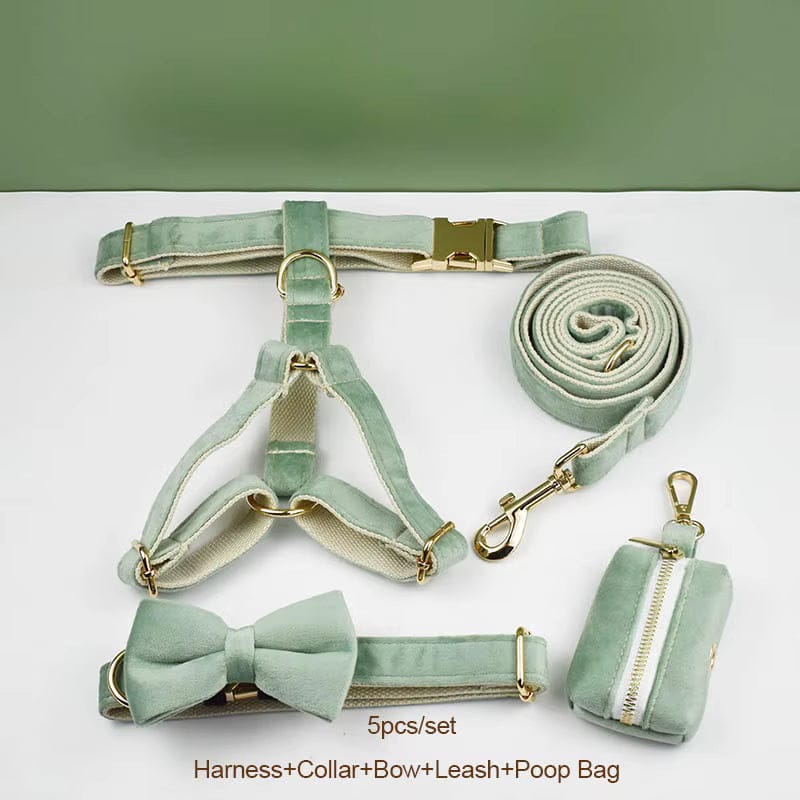 Mint Green Velvet Set