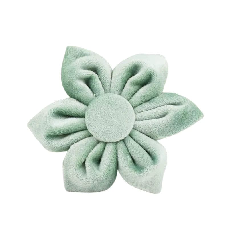 Mint Green Velvet Set