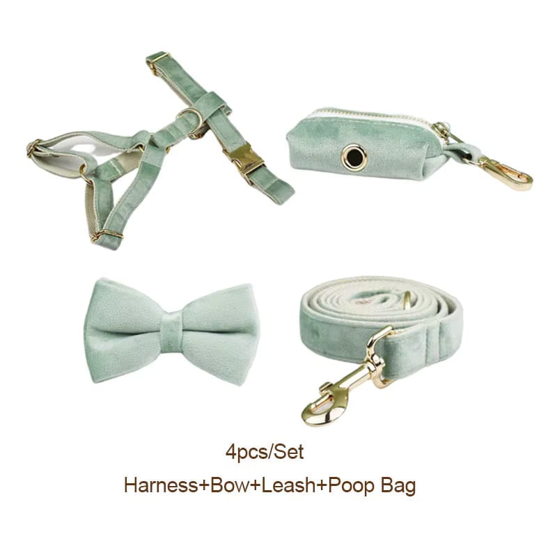 Mint Green Velvet Set