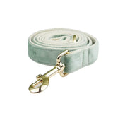 Leash