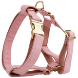Harness