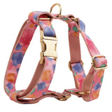 Harness