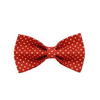 Red Velvet Dog Collar Set