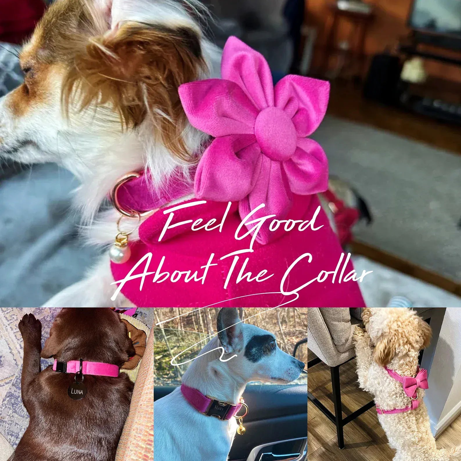 DDPaws  Rose Red Velvet Dog Collar Leash and Harness Set