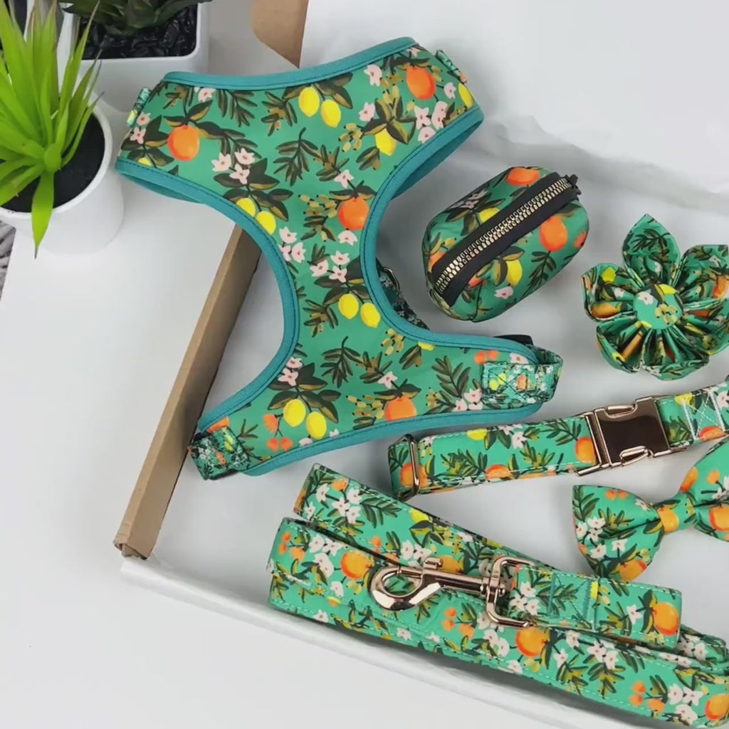 Entworfenes florales Hundegeschirr-Set [Maßanfertigung]