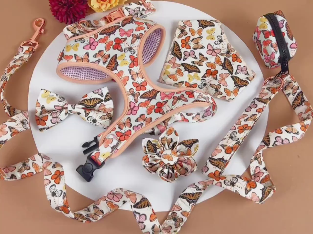 Designed Butterfly Dog Vest Set