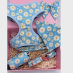 Designed Blue Daisy Floral Dog Vest Set