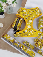 Designed Sunny Floral Dog Vest Set