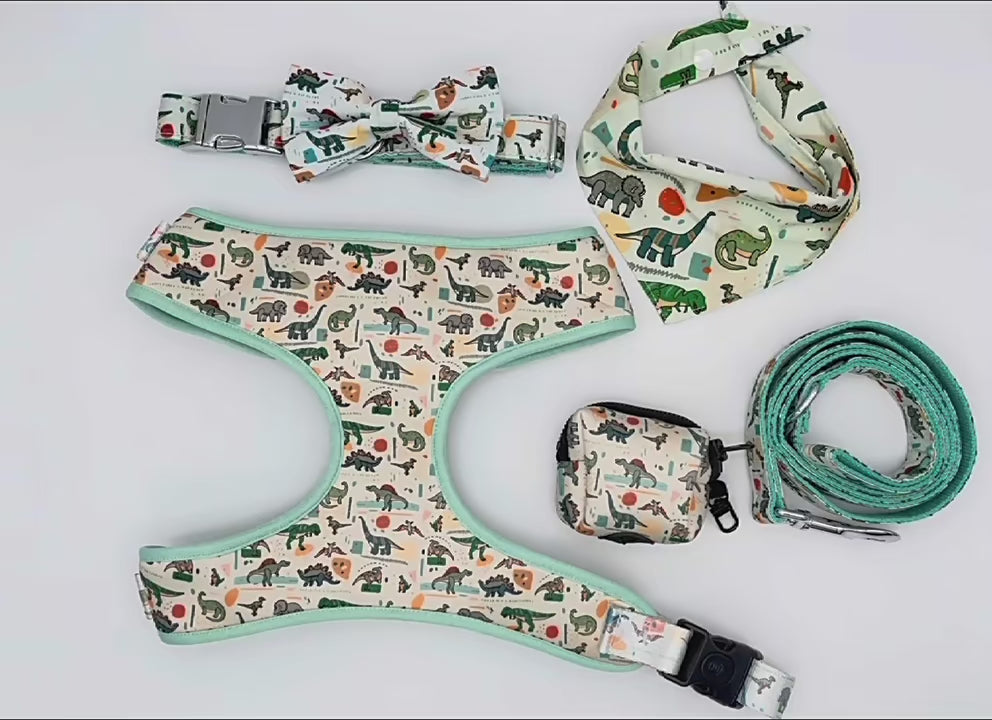 Entworfenes florales Hundegeschirr-Set [Maßanfertigung]