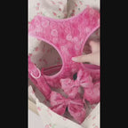 Valentine Rose Dog Harness, Collar & Leash Set – Floral Puppy Walking Set