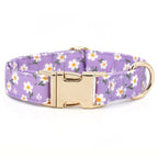 D&D Paws Collar / XS Designed Purple Daisy Dog Vest Set [Made-to-Order]