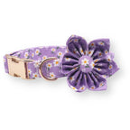 D&D Paws Designed Purple Daisy Dog Vest Set [Made-to-Order]