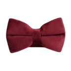 D&D Paws  Bowtie / XS Red Wine Velvet Set