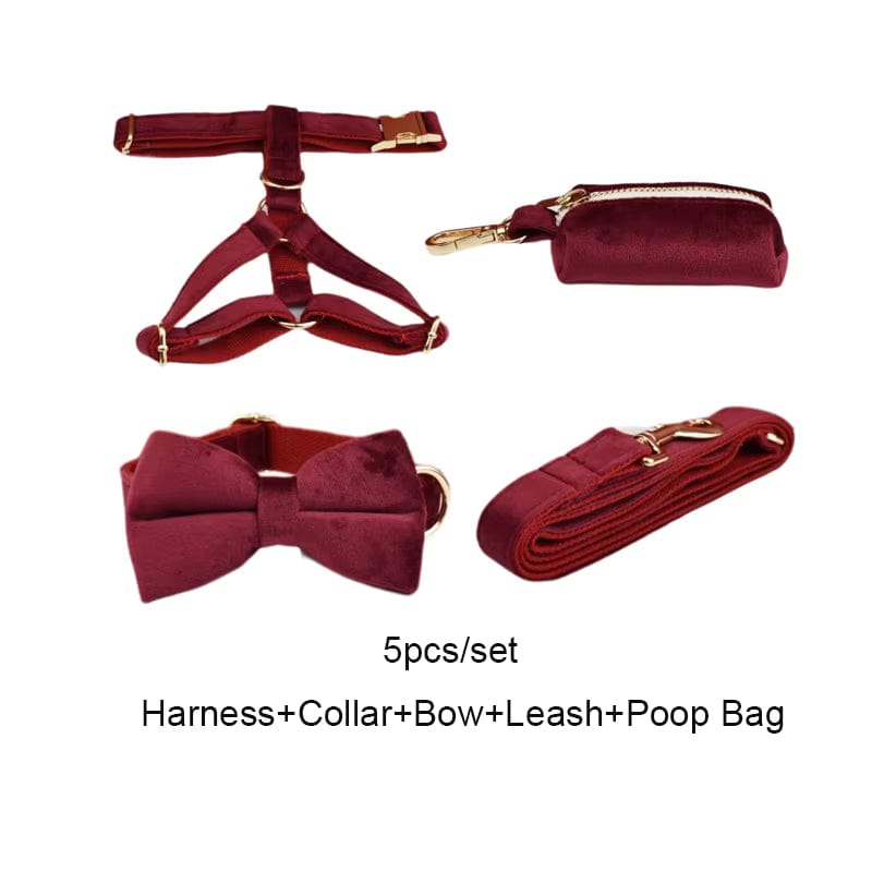 D&D Paws  Collar + Harness + Leash + Bowtie + Poop Bag / XS Red Wine Velvet Set