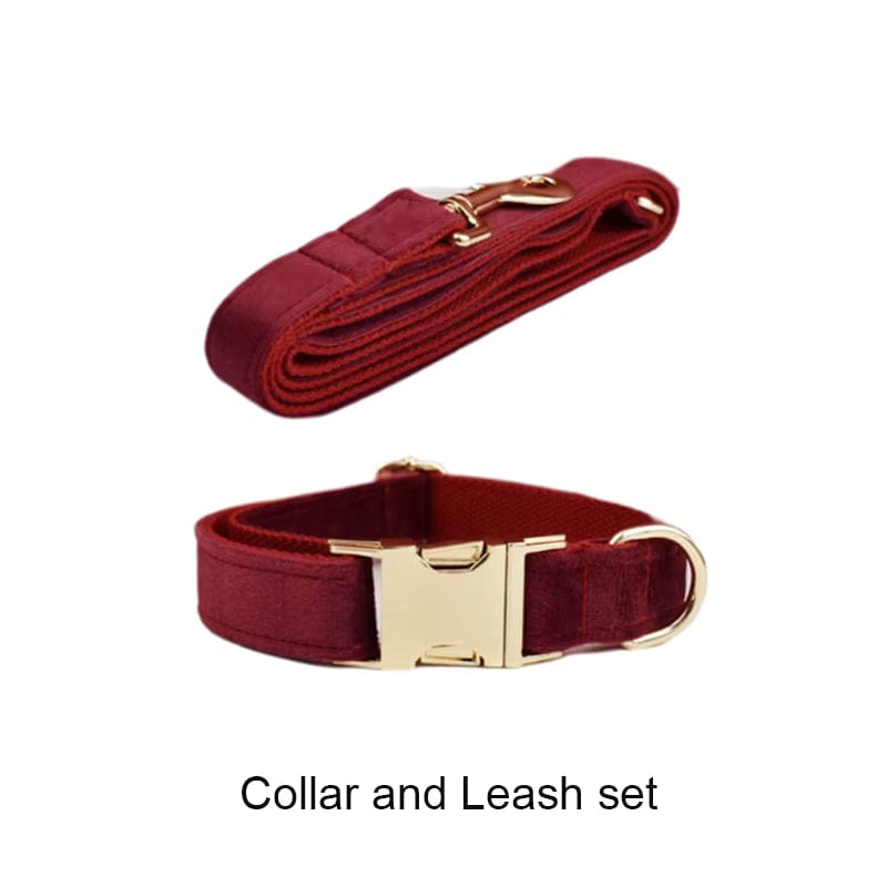 D&D Paws  Collar + Leash / XS Red Wine Velvet Set